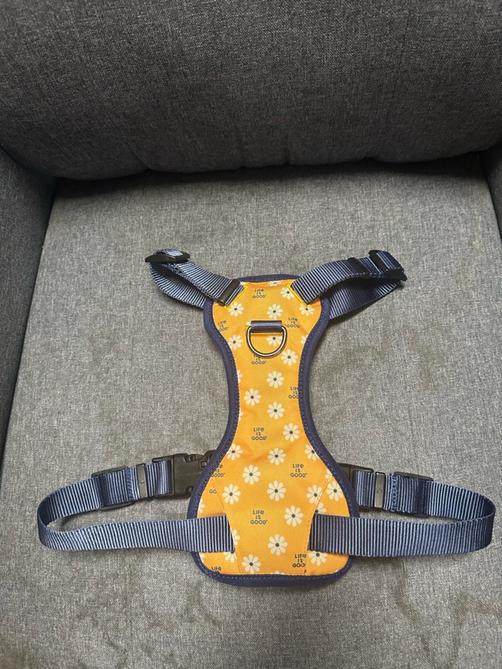 Life is Good Daisy Dog Harness- Baja Yellow - Picture 3 of 8